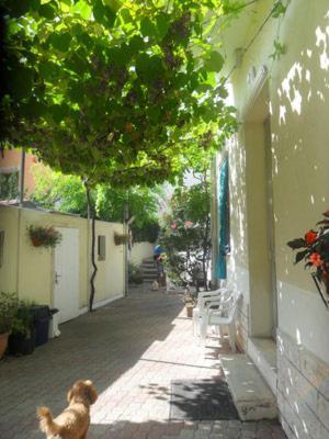 Albergo Villa-Brandi --- Pensione Completa --- Bellaria-Igea Marina Exterior foto